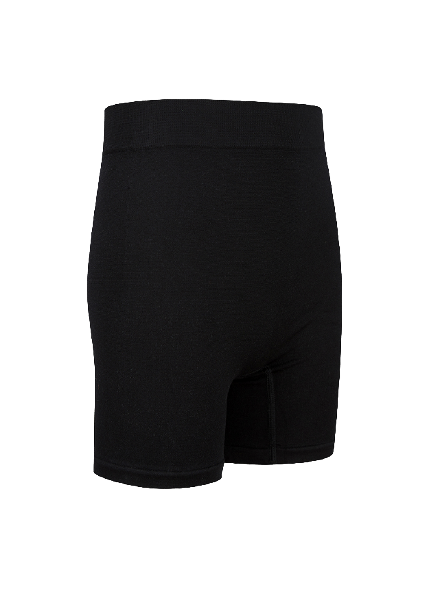 Legacy Shorts